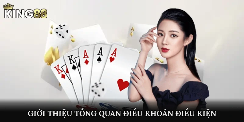 Giới thiệu tổng quan điều khoản điều kiện tại nhà cái