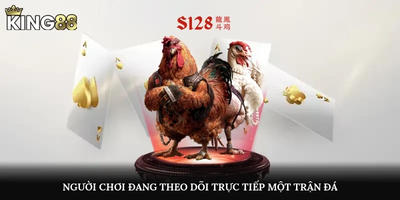 Người chơi đang theo dõi trực tiếp một trận đá