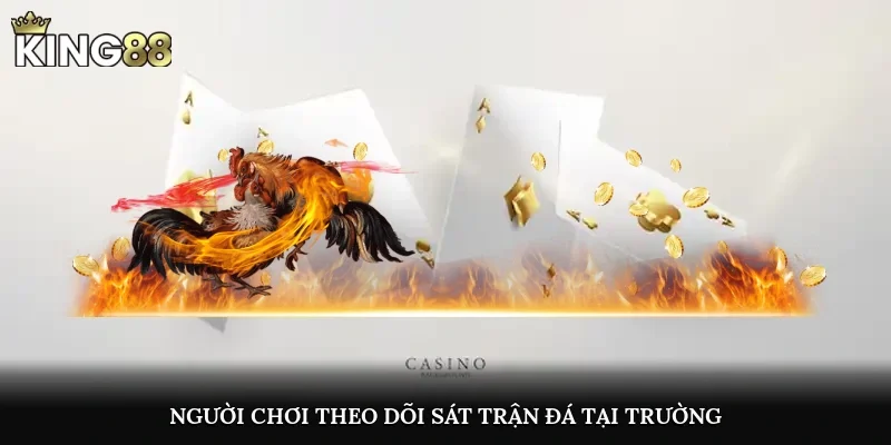 Người chơi theo dõi sát trận đá tại trường