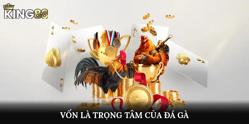 Vốn là trọng tâm của đá gà